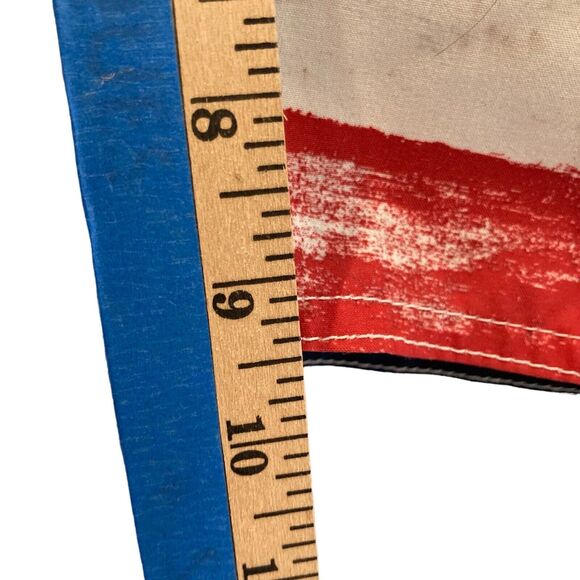 American Eagle Outfitters Men's Size S Board Shorts Swim Trunks 4TH of July Flag - Picture 8 of 12